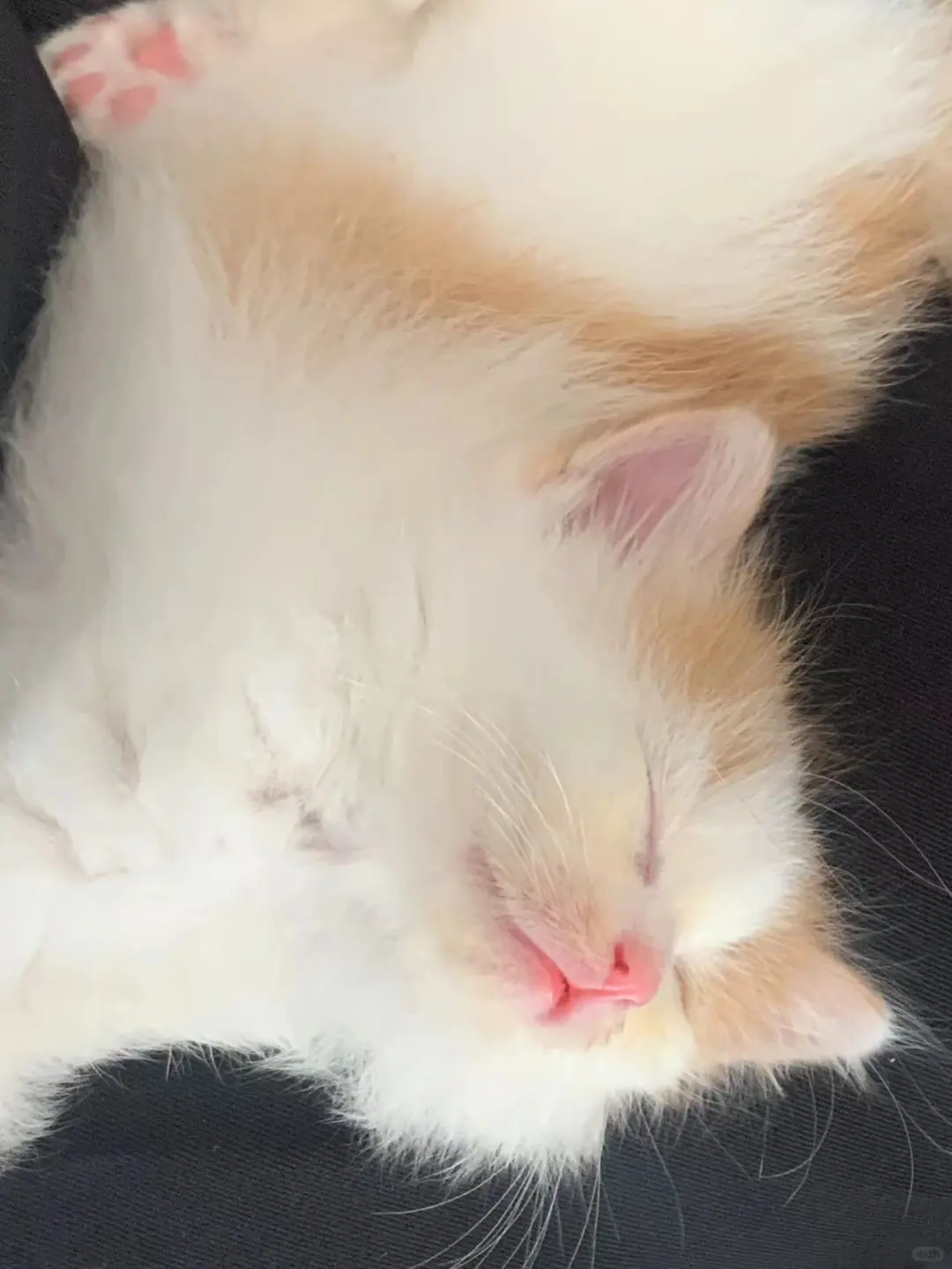 邢台一家只有00后的公司