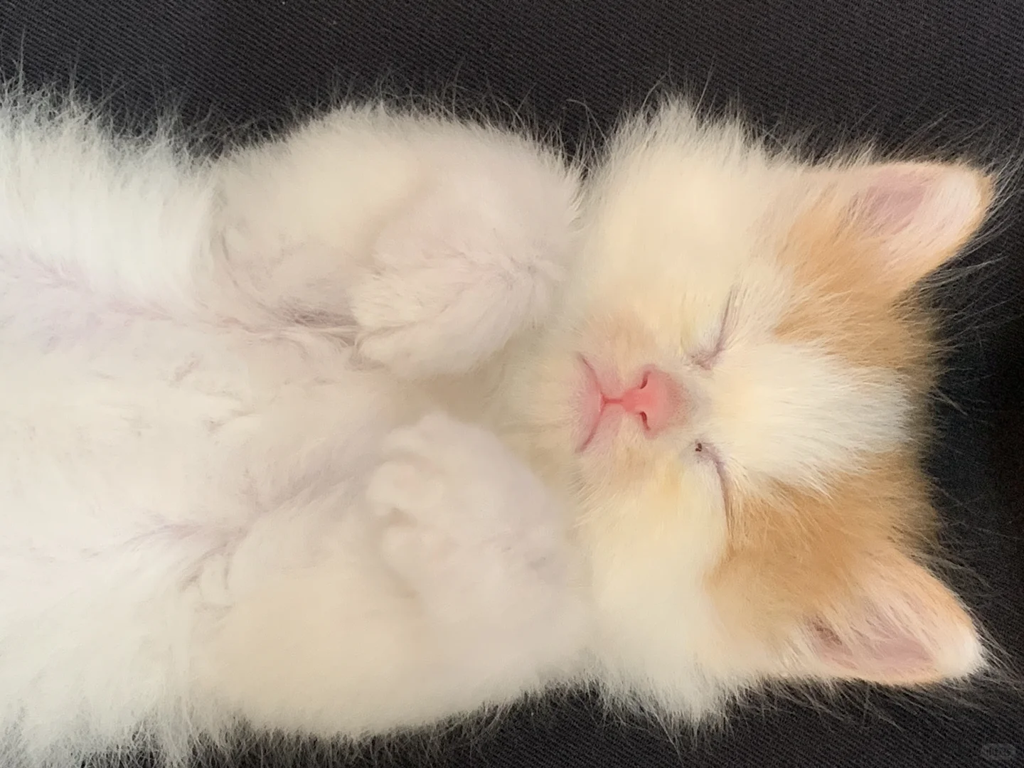 邢台一家只有00后的公司