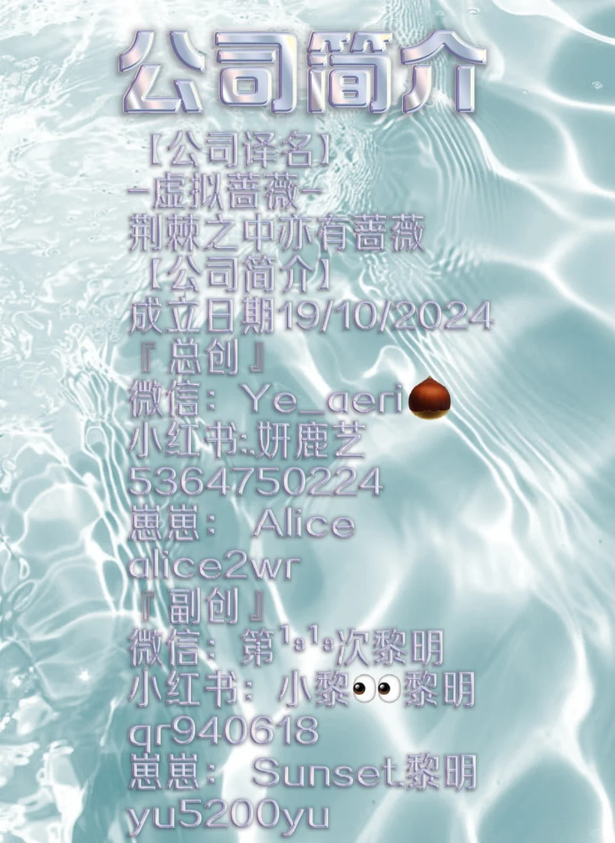 什么？崽崽公司又开始招人了？