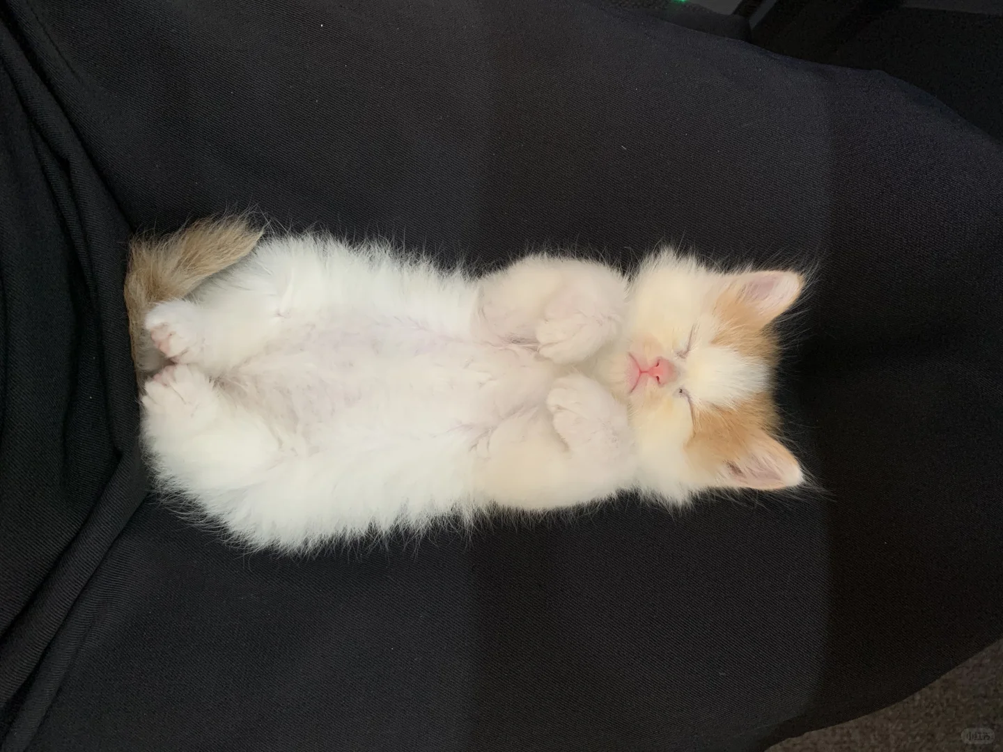 邢台一家只有00后的公司