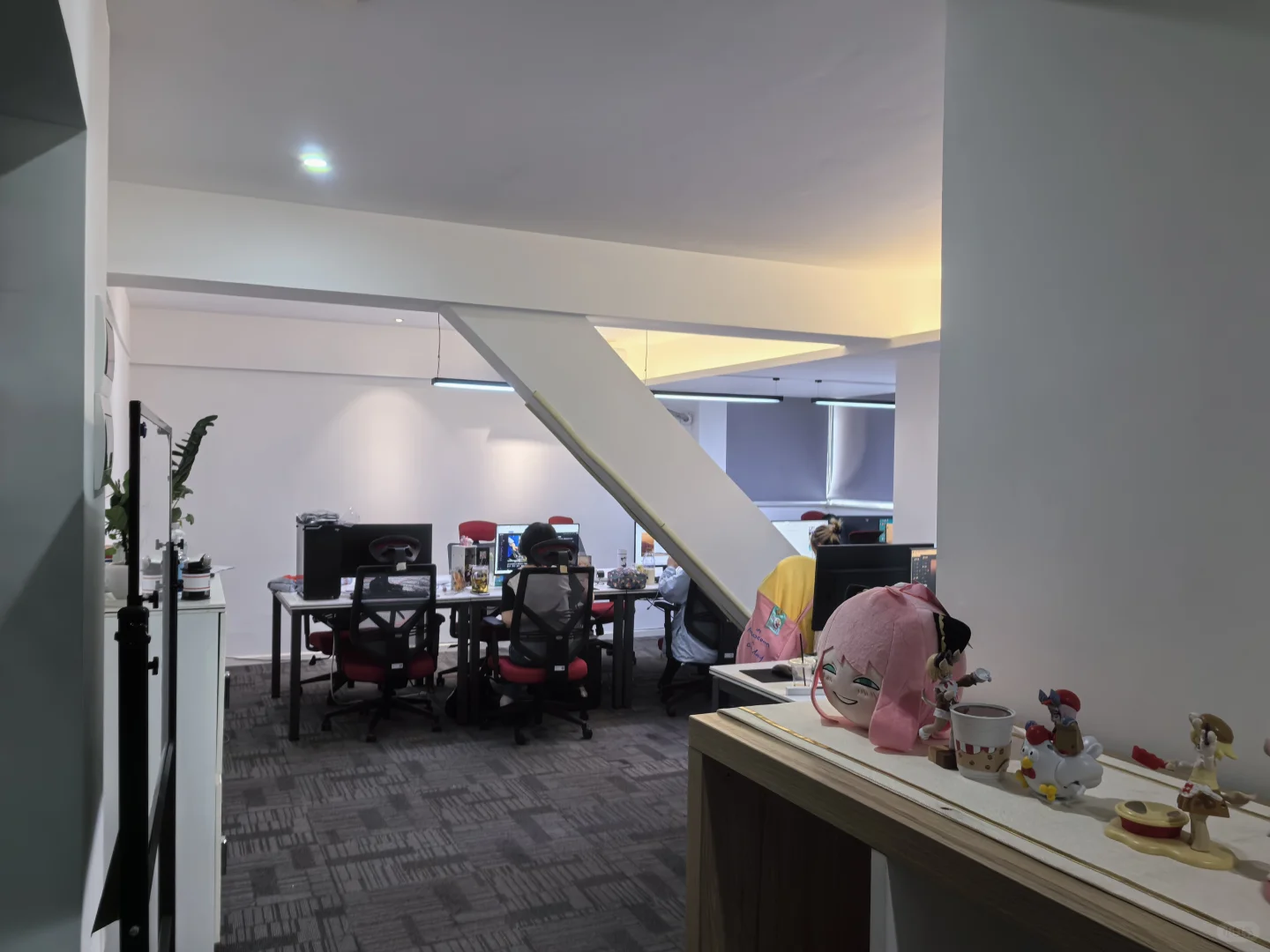 二次元八卦娱乐传媒公司招人拉