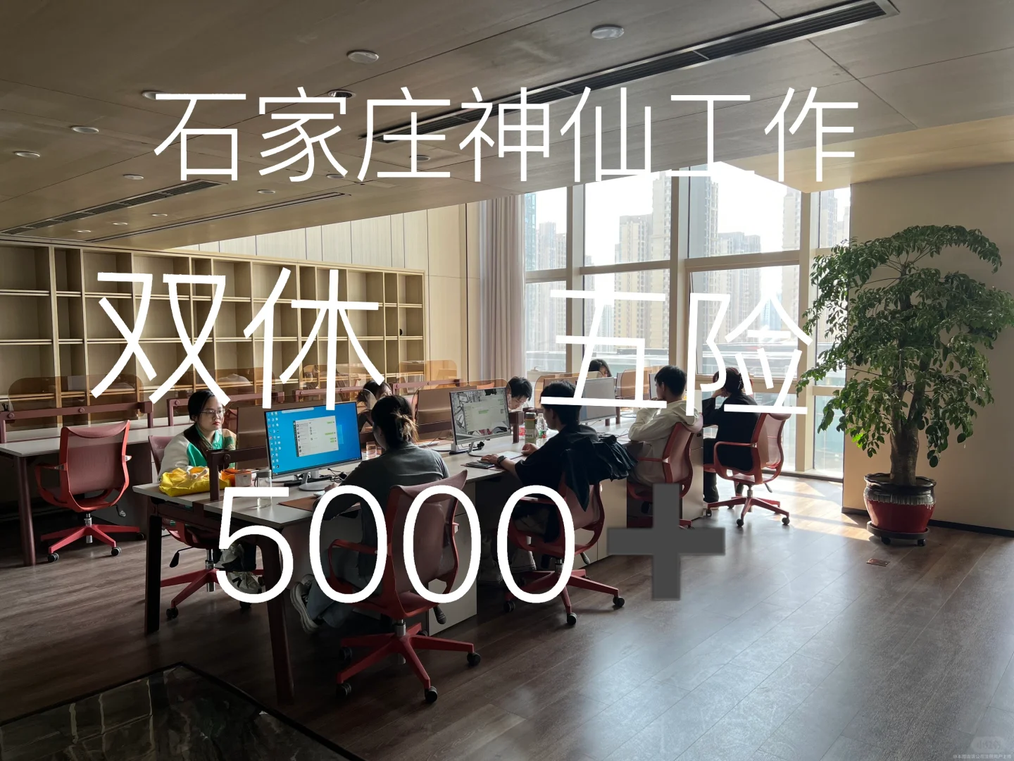 石家庄神仙公司招聘啦～～～工作～～～