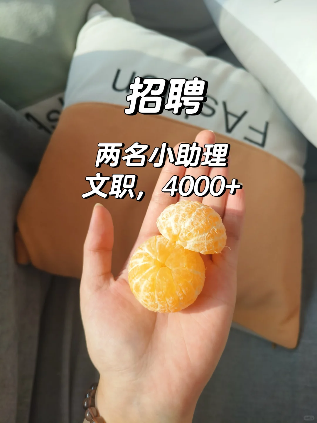 聘！我们是开封最大的电商公司