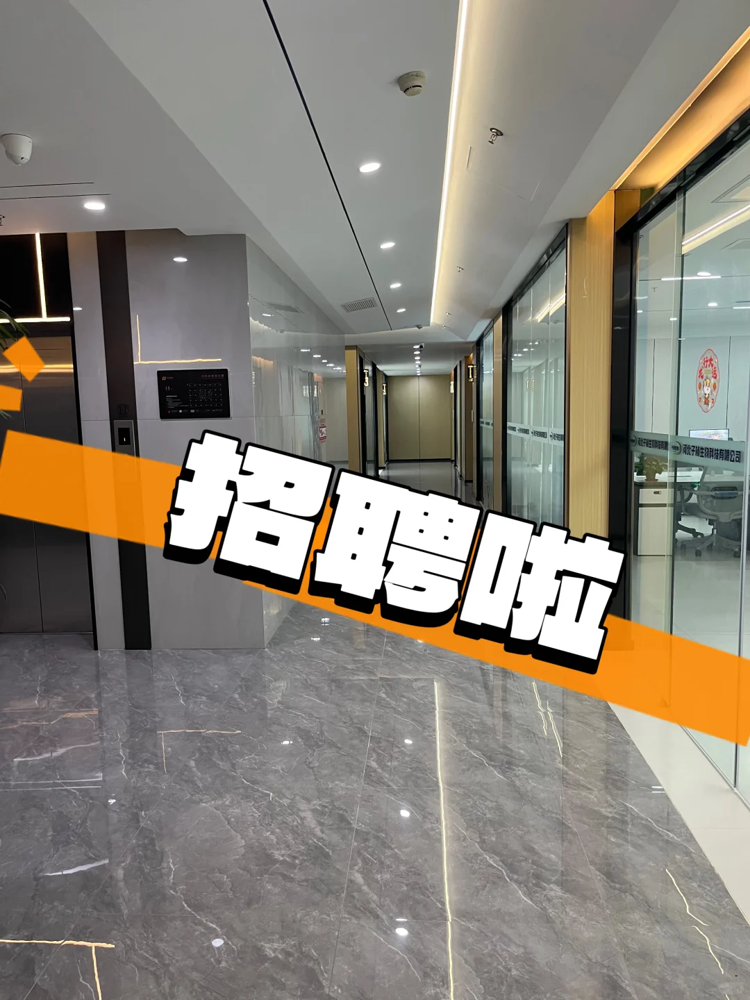 石家庄要开始招聘啦找工作的快来吧