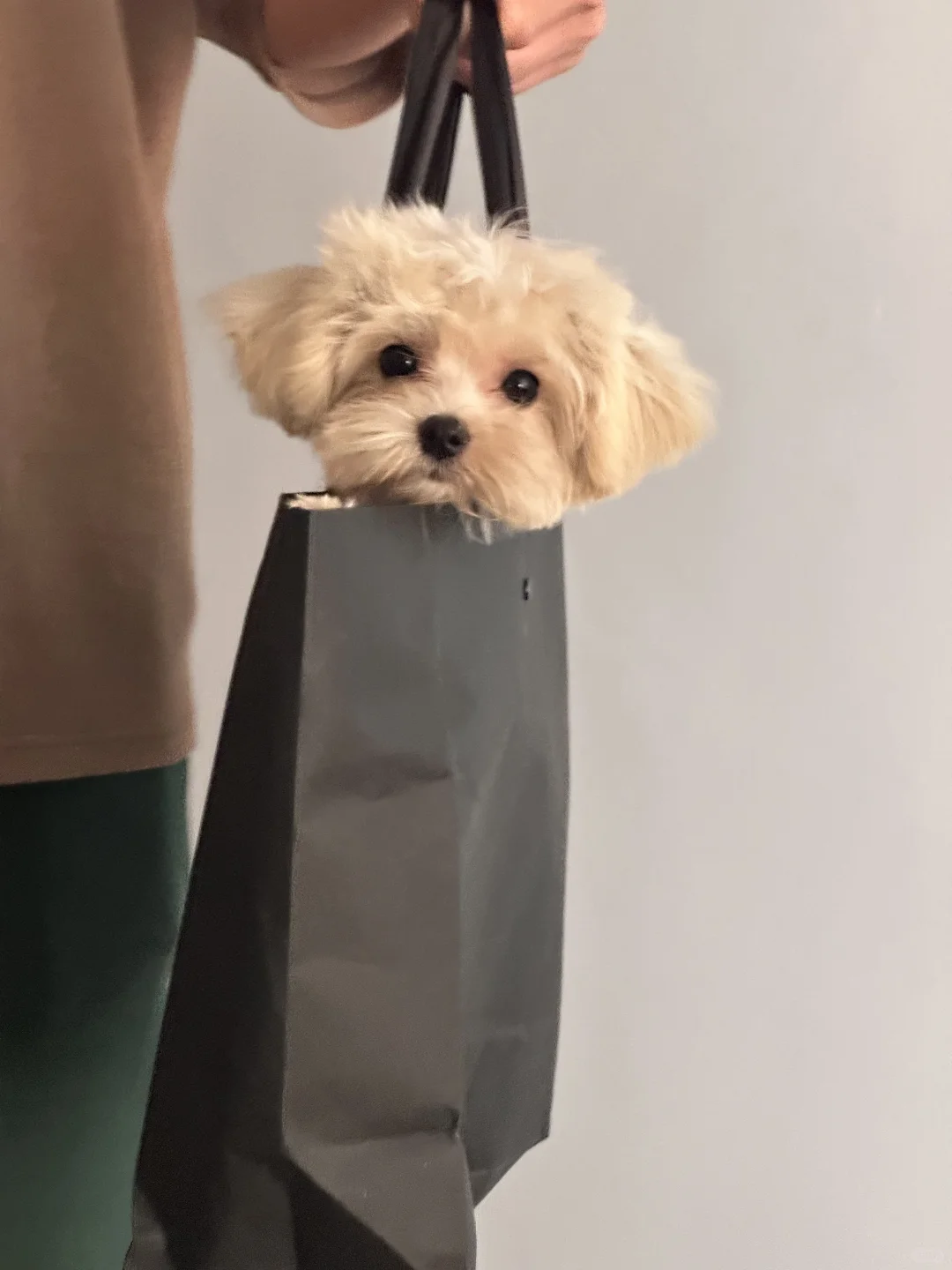 杭州神仙公司招新啦