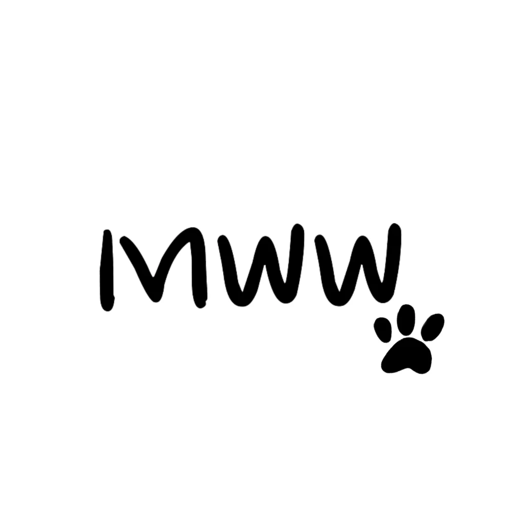 MWW虚拟娱乐招人🐾独立女团🈲多公司