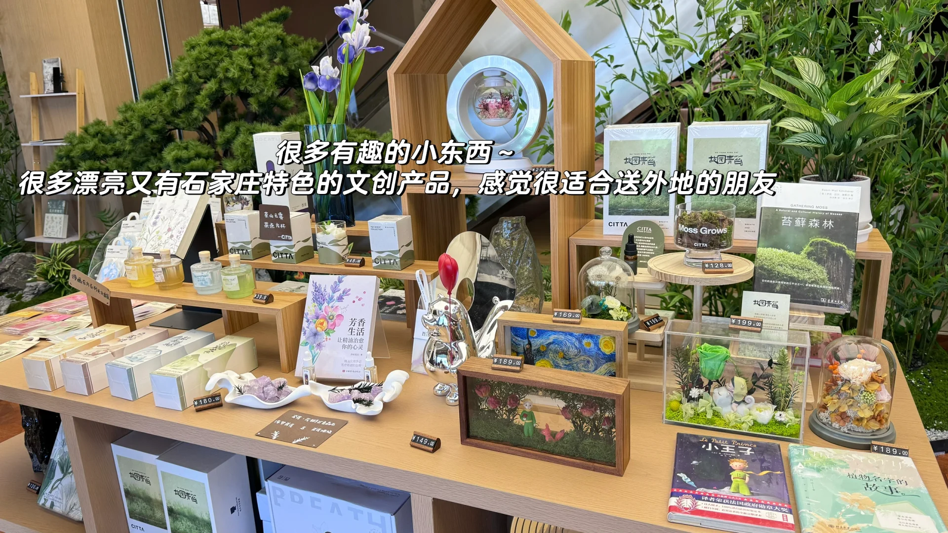 石家庄｜教培｜关于我们公司都有什么岗位