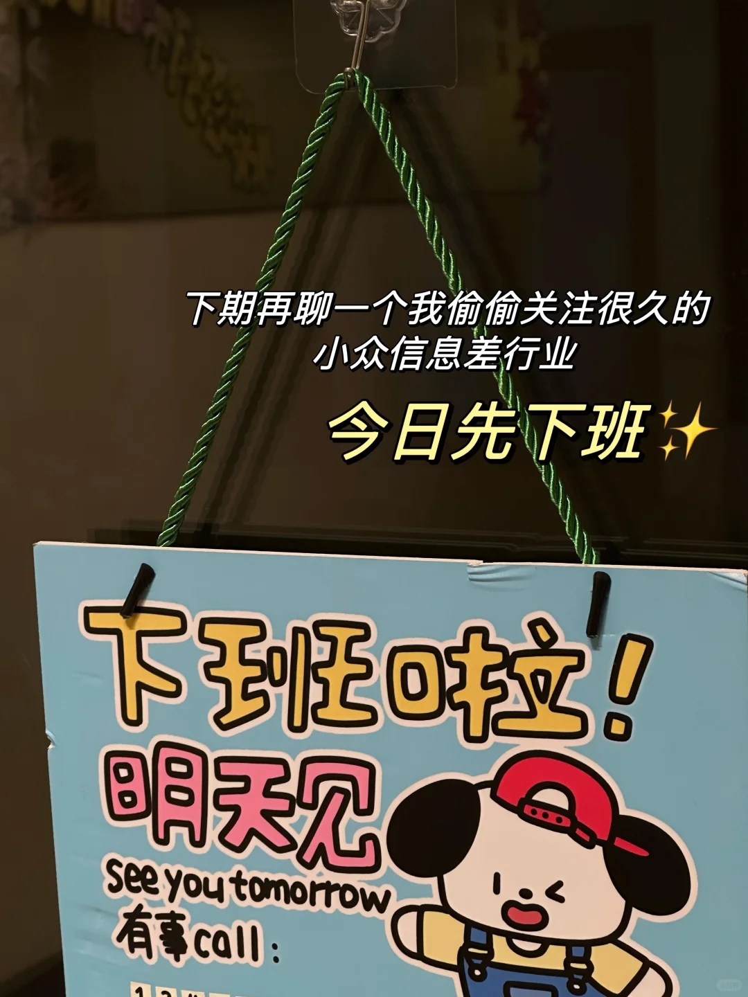 所有文科生都去冲新的赛道：二次元谷子公司