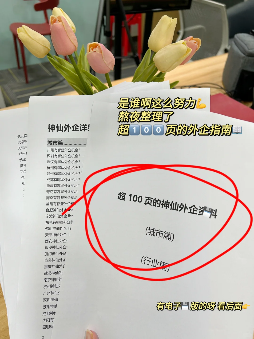 荷兰外企过于冷门了，实际上很好进