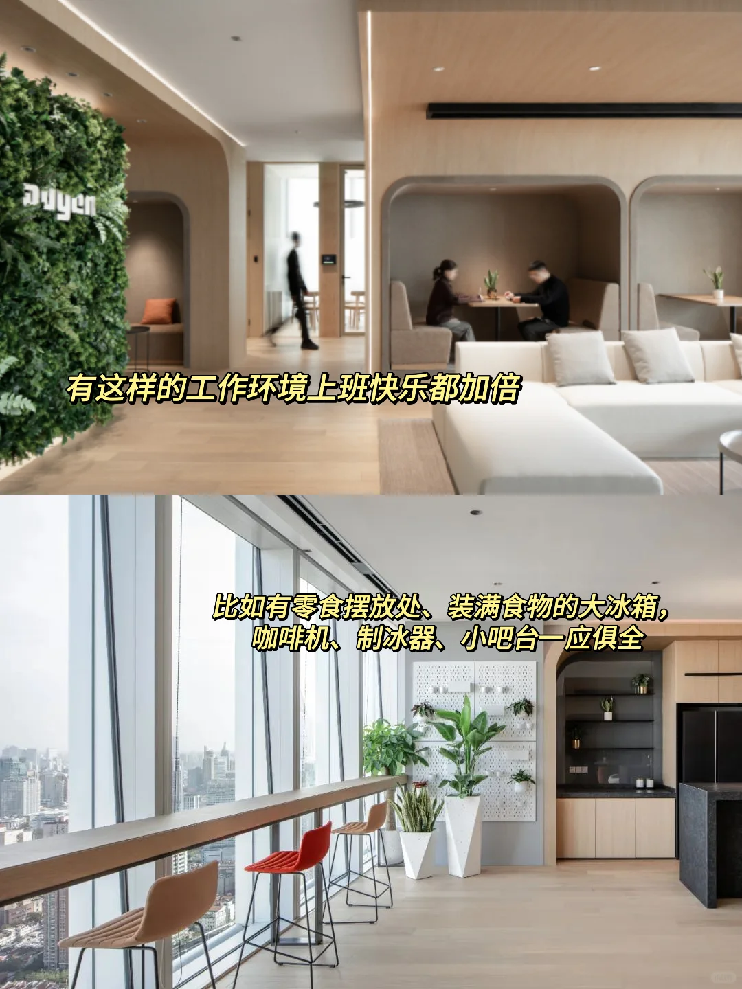 荷兰外企过于冷门了，实际上很好进