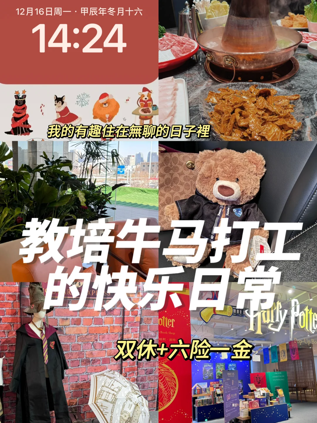 石家庄｜教培｜关于我们公司都有什么岗位