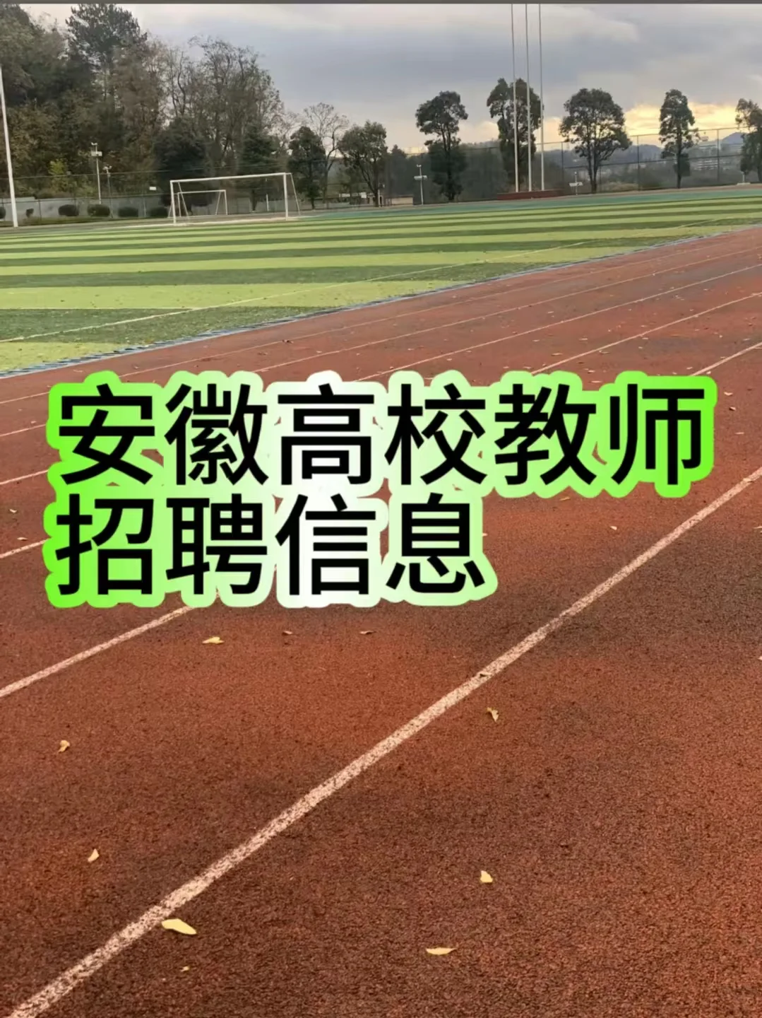 高校教师招聘信息（安徽地区）
