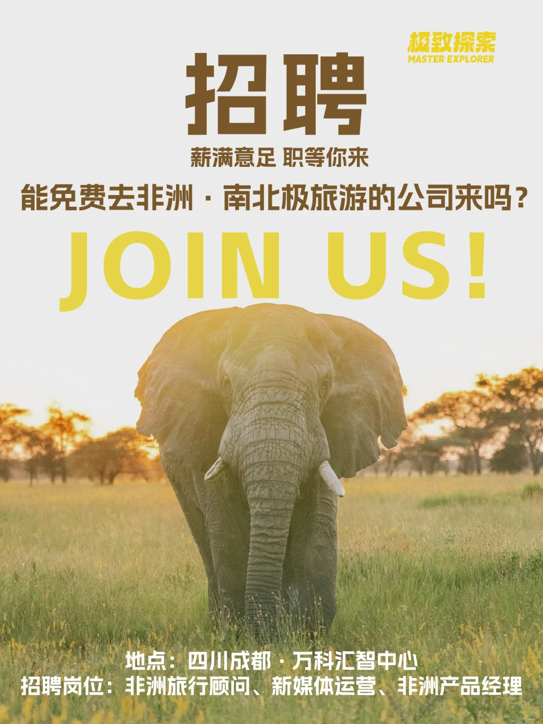招聘|能免费去非洲·南北极旅行的神仙公司
