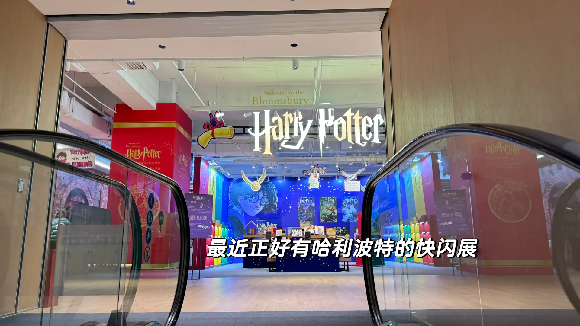 石家庄｜教培｜关于我们公司都有什么岗位