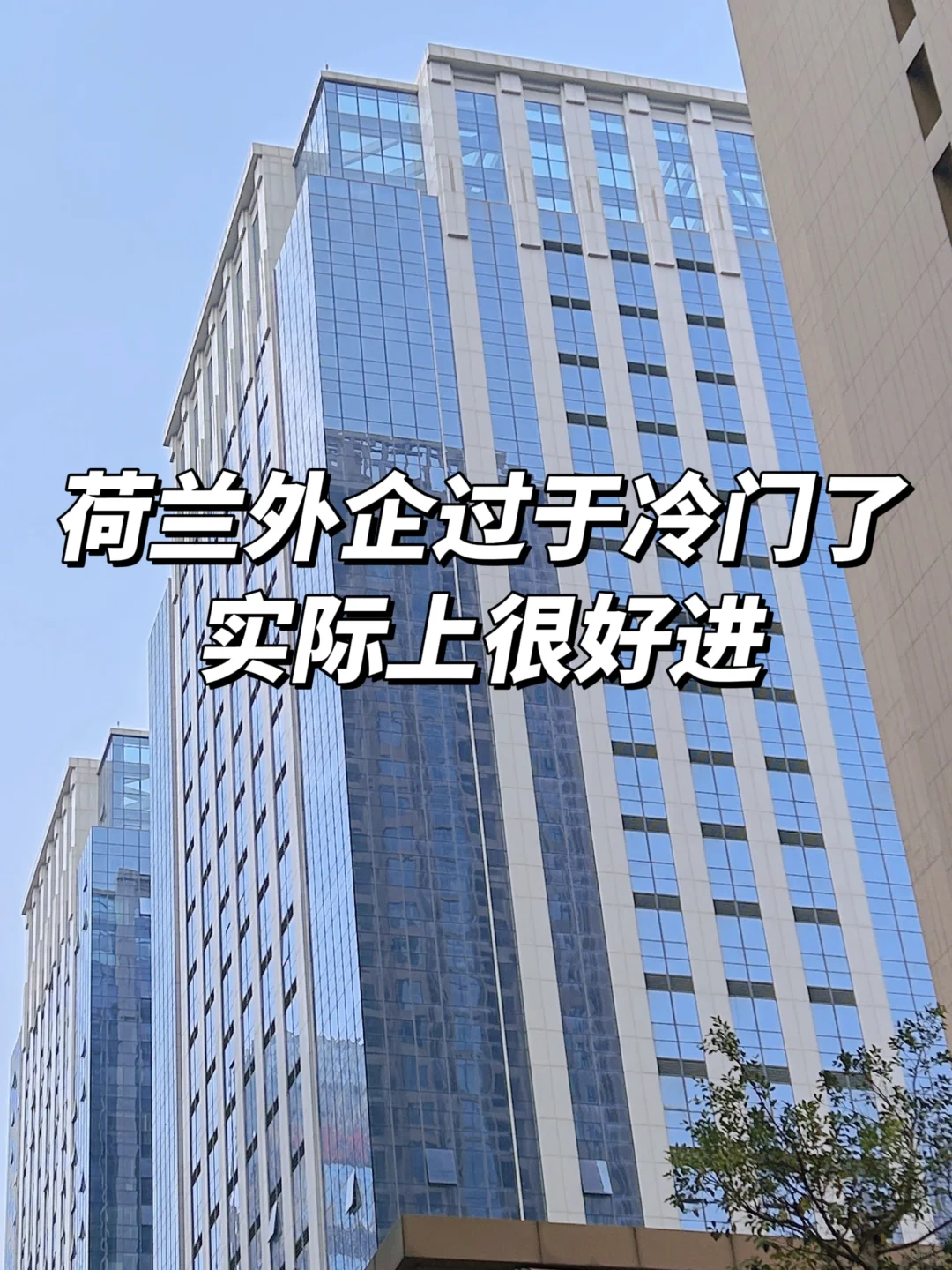 荷兰外企过于冷门了，实际上很好进