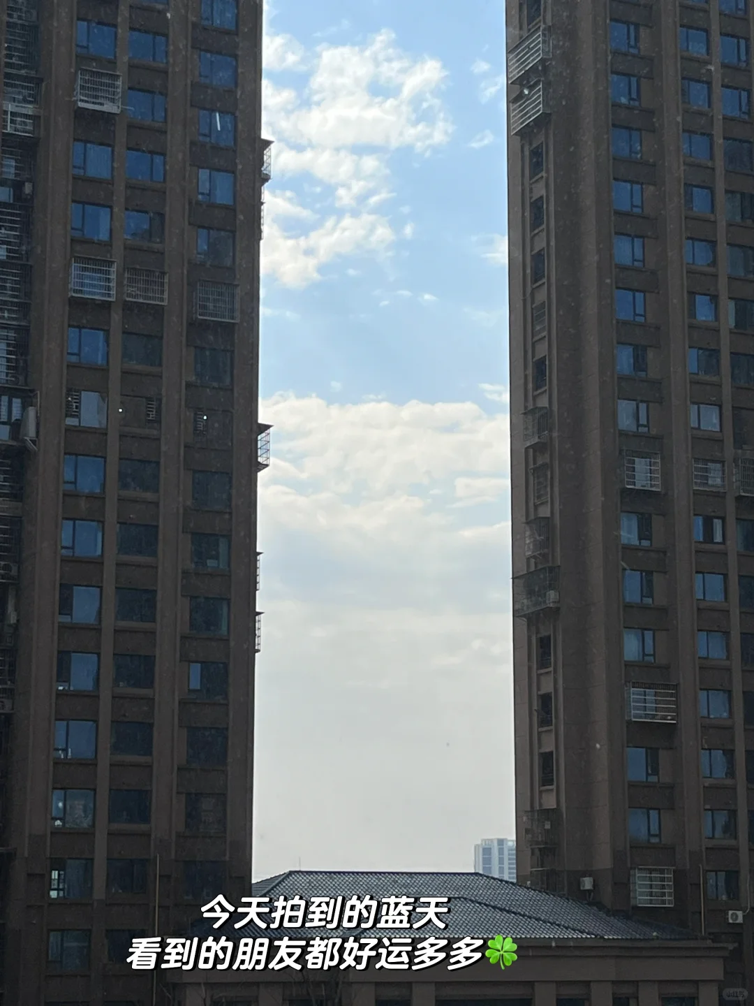 按照这样找工作，不可能找到垃圾公司的！！