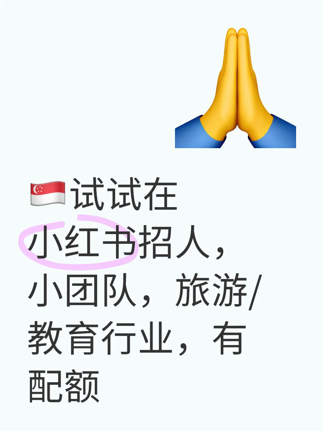 🇸🇬试试在小红书招人，小团队，旅游/教育行