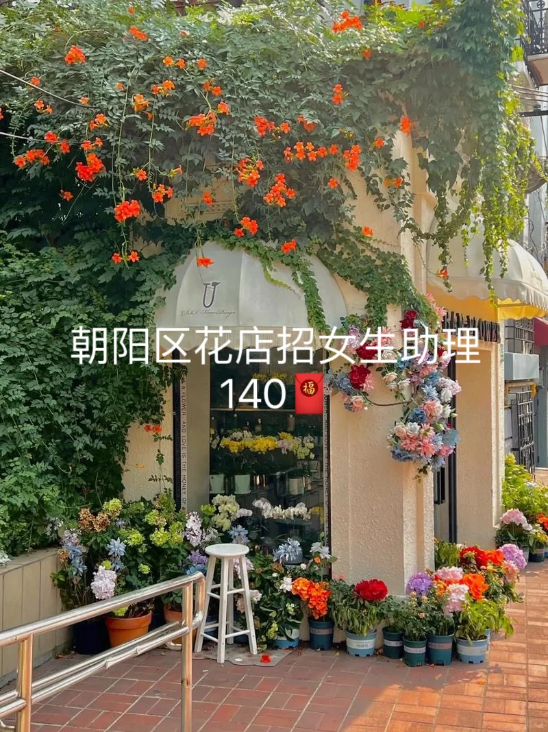 北京朝阳花店招聘助理