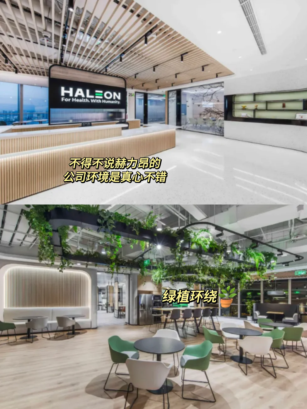 缺人太明显了，大健康外企有能力都去试试