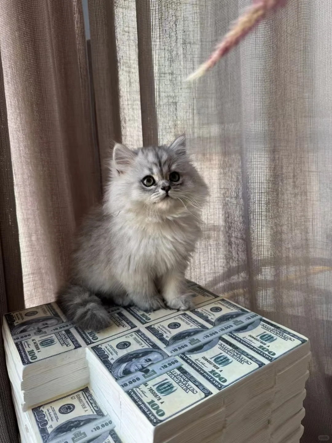 现在人才难招、终于招到一个满意的了