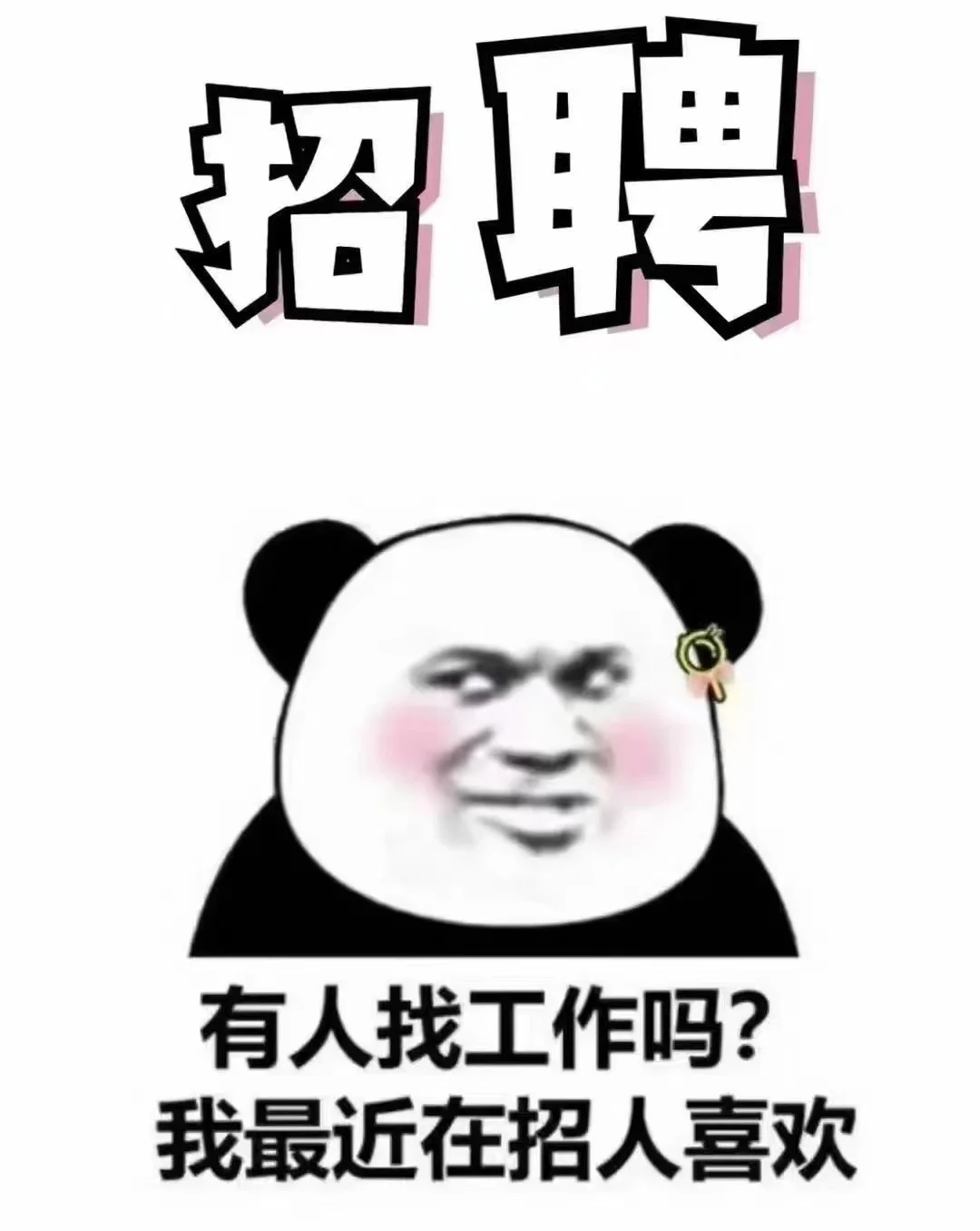 新公司正在招聘