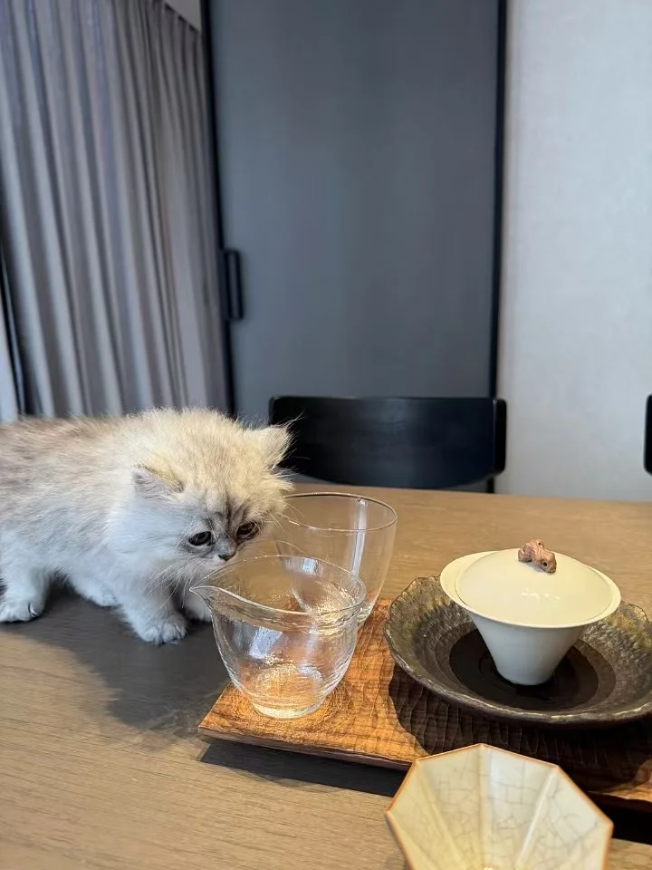 现在人才难招、终于招到一个满意的了