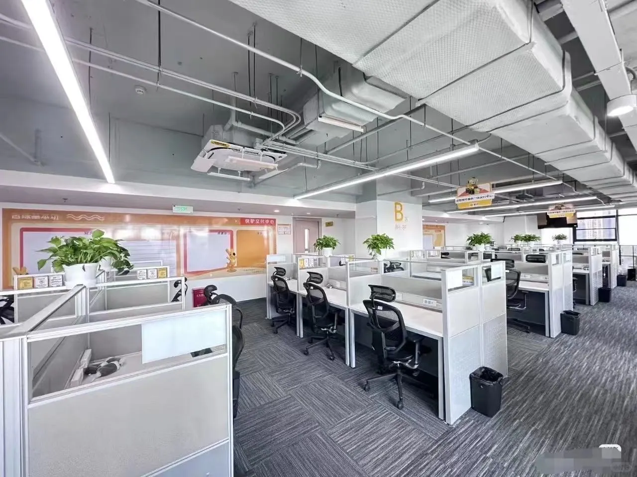 上市公司（遂平县站）招人了