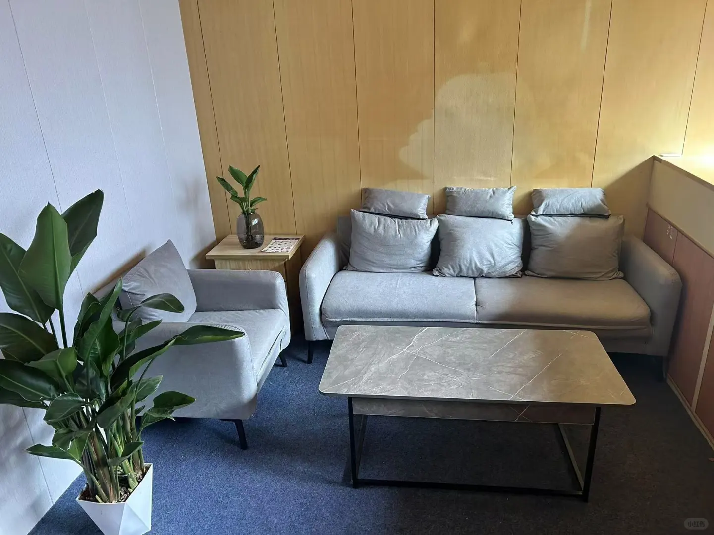 新公司正在招聘