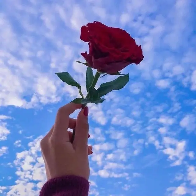 自聘客服和外包客服哪个好？