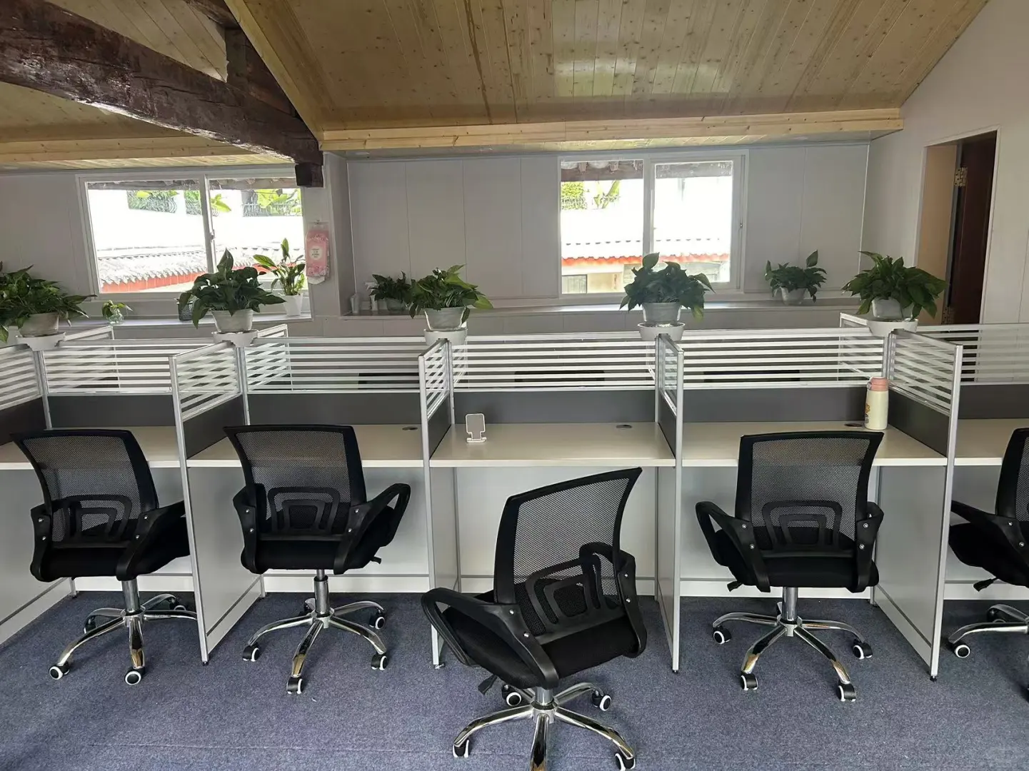 新公司正在招聘