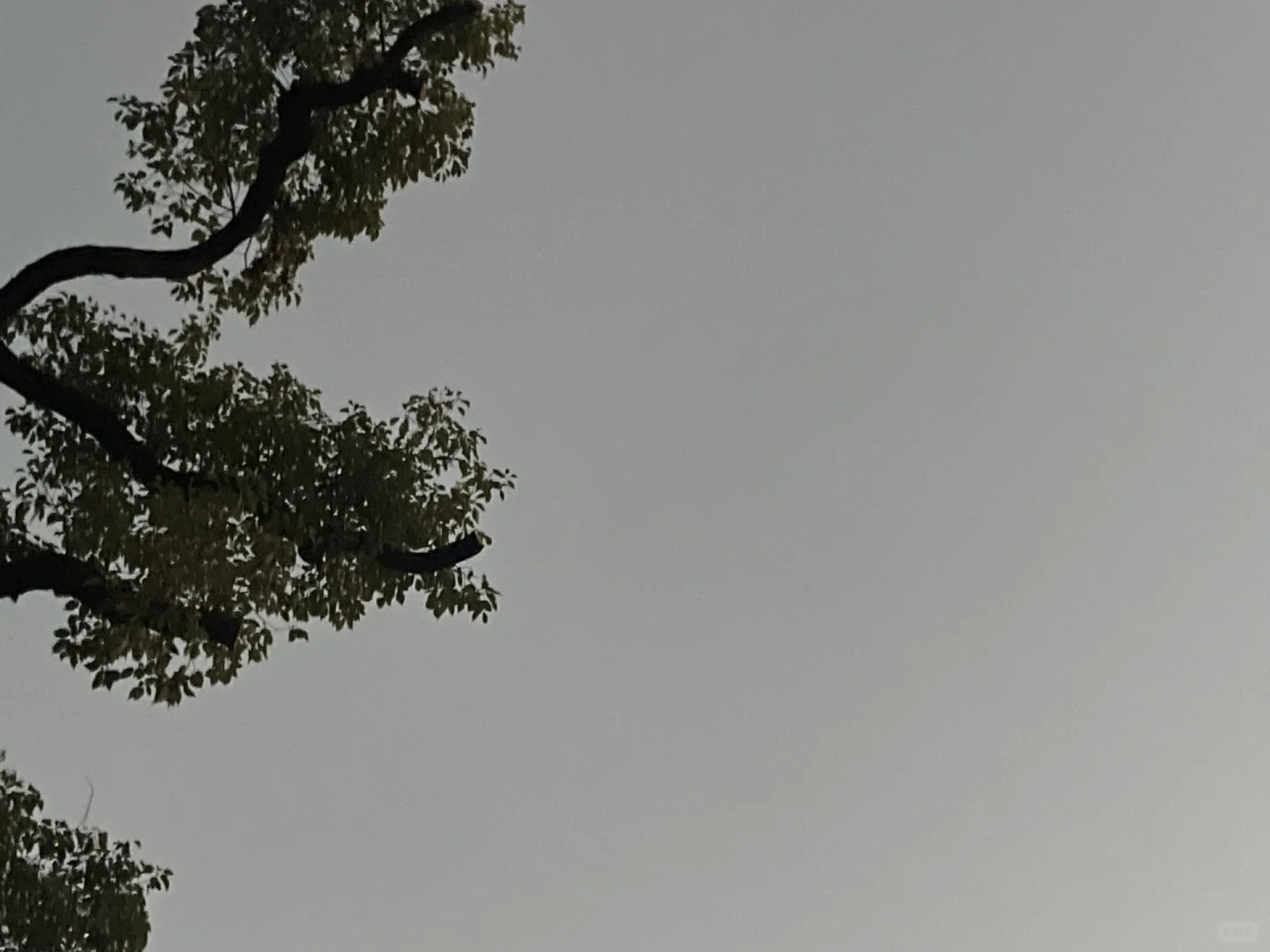 想招个品质工程师