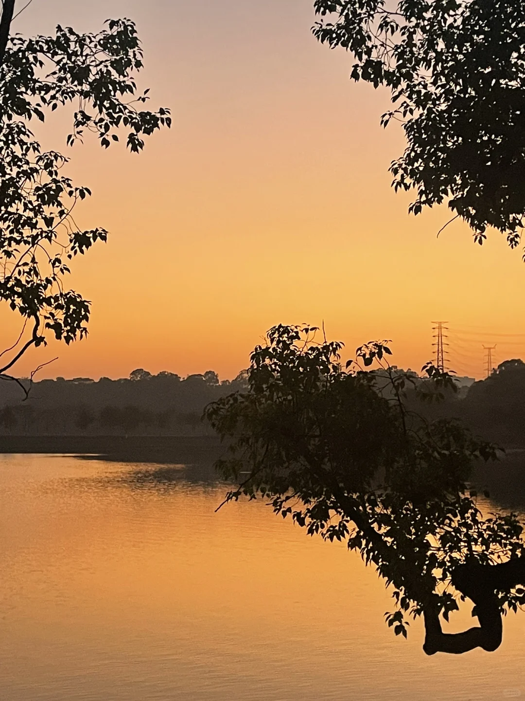 想招个品质工程师