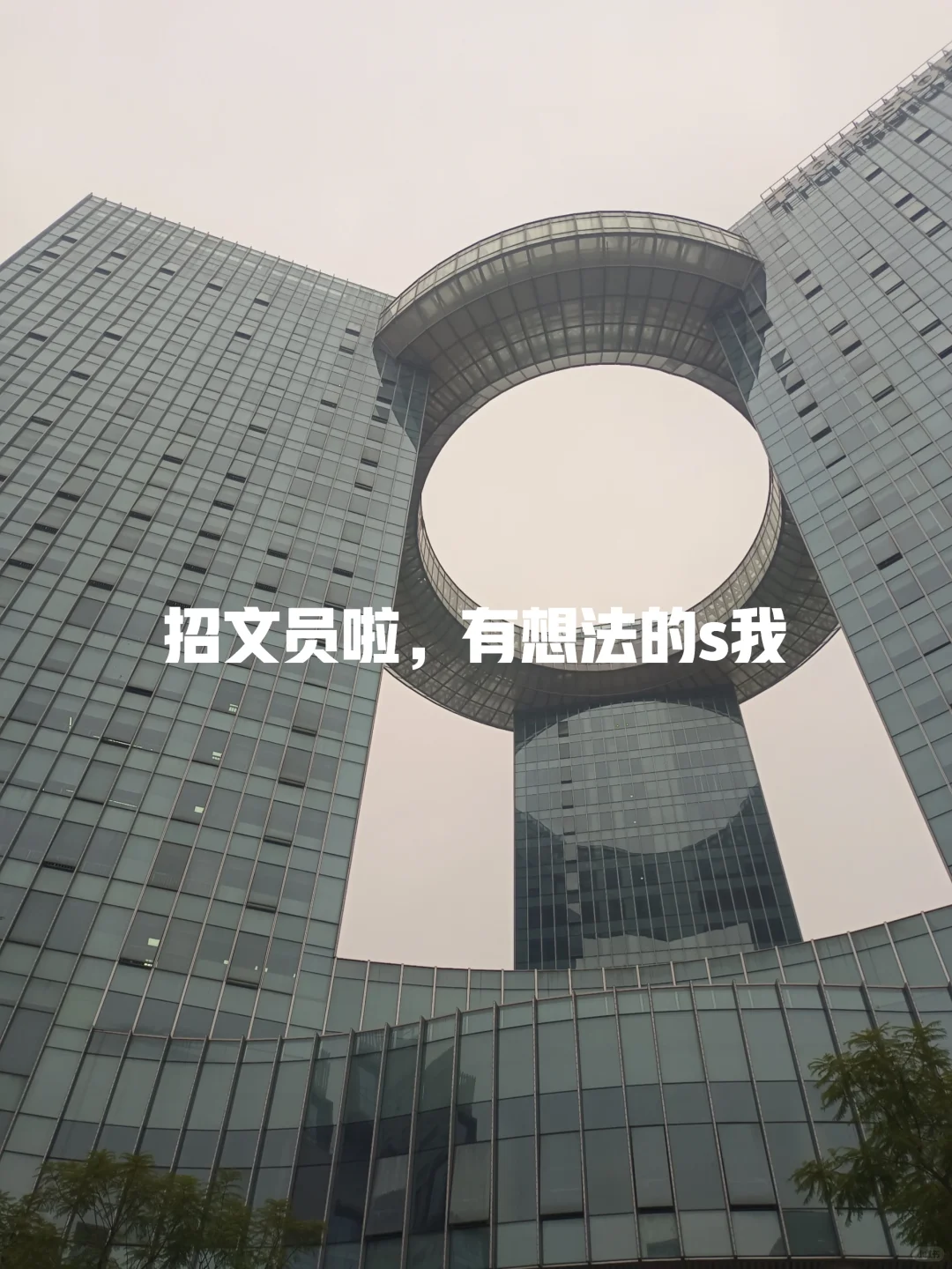 公司要文员，不限经验