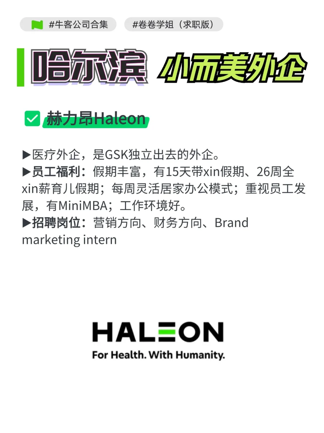 哈尔滨值得去的小而美外企