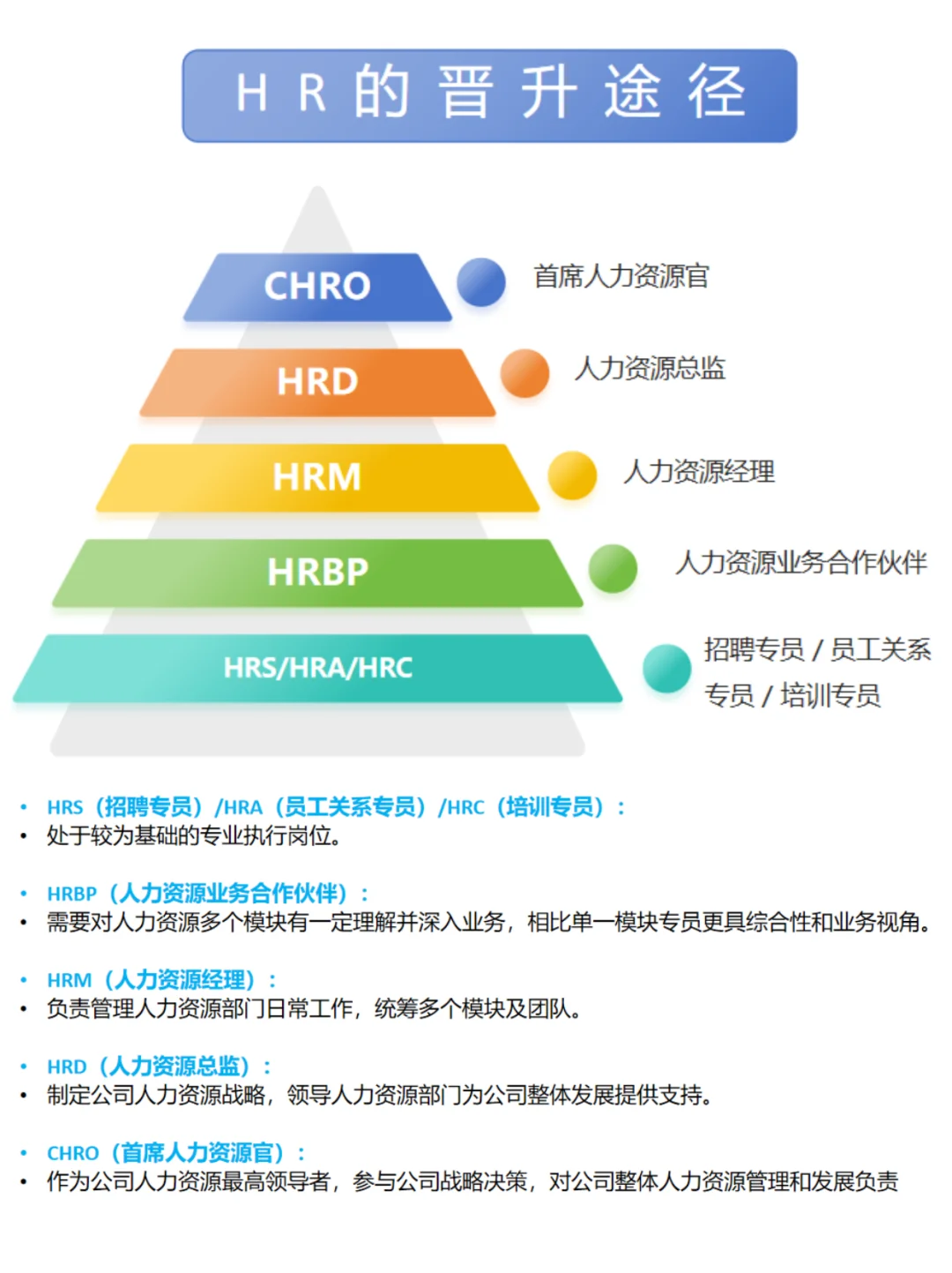 HR的晋升途径！一图搞懂！