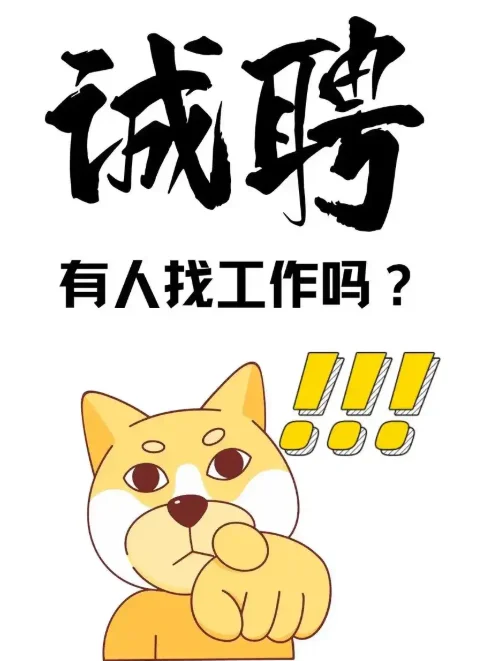 招聘会计(应届毕业生),要近期到岗