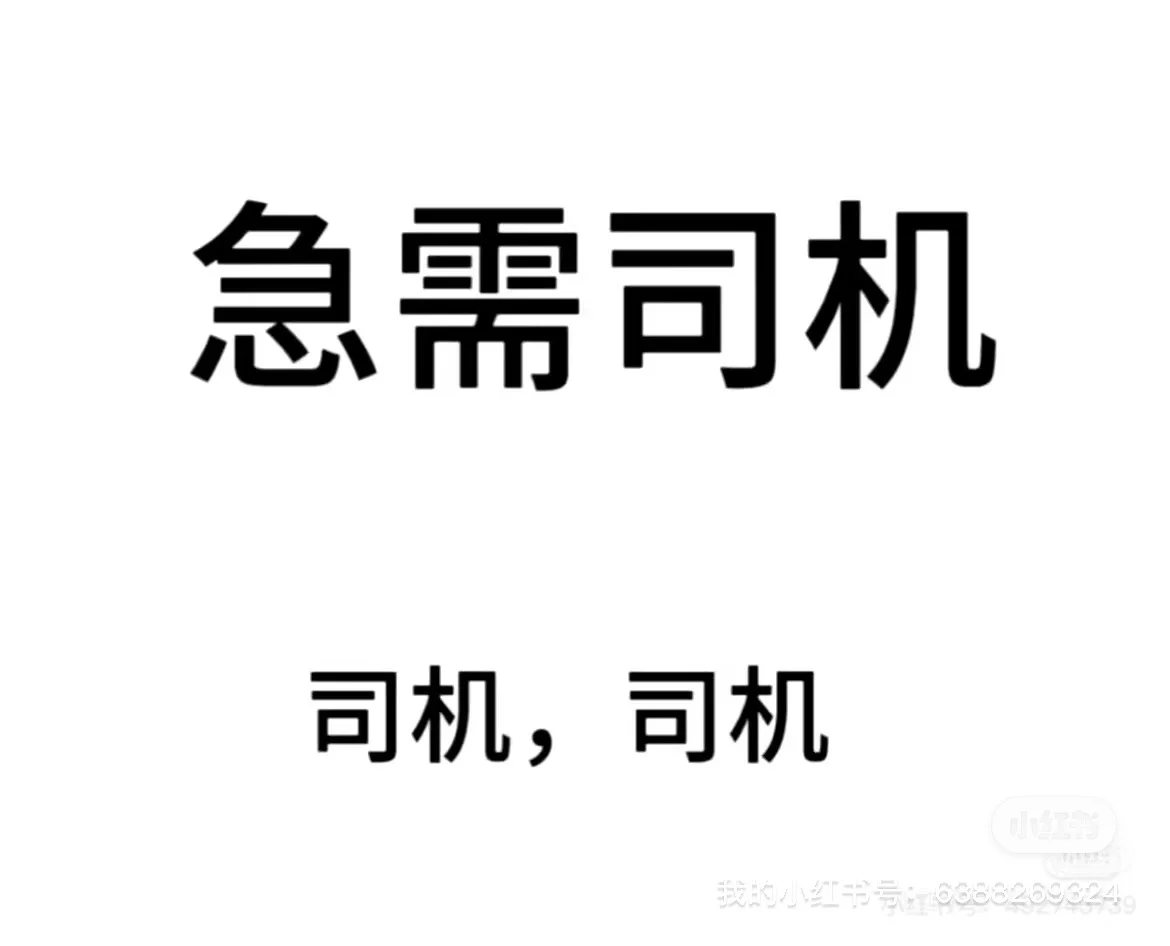 直招 轻松干 纯司机