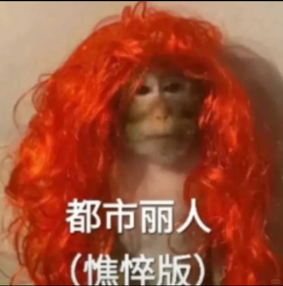 Anker offer要接嘛