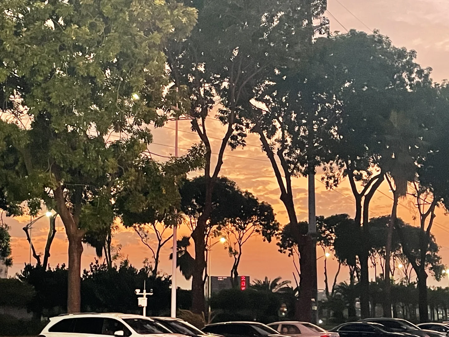 我终于找到工作了！！