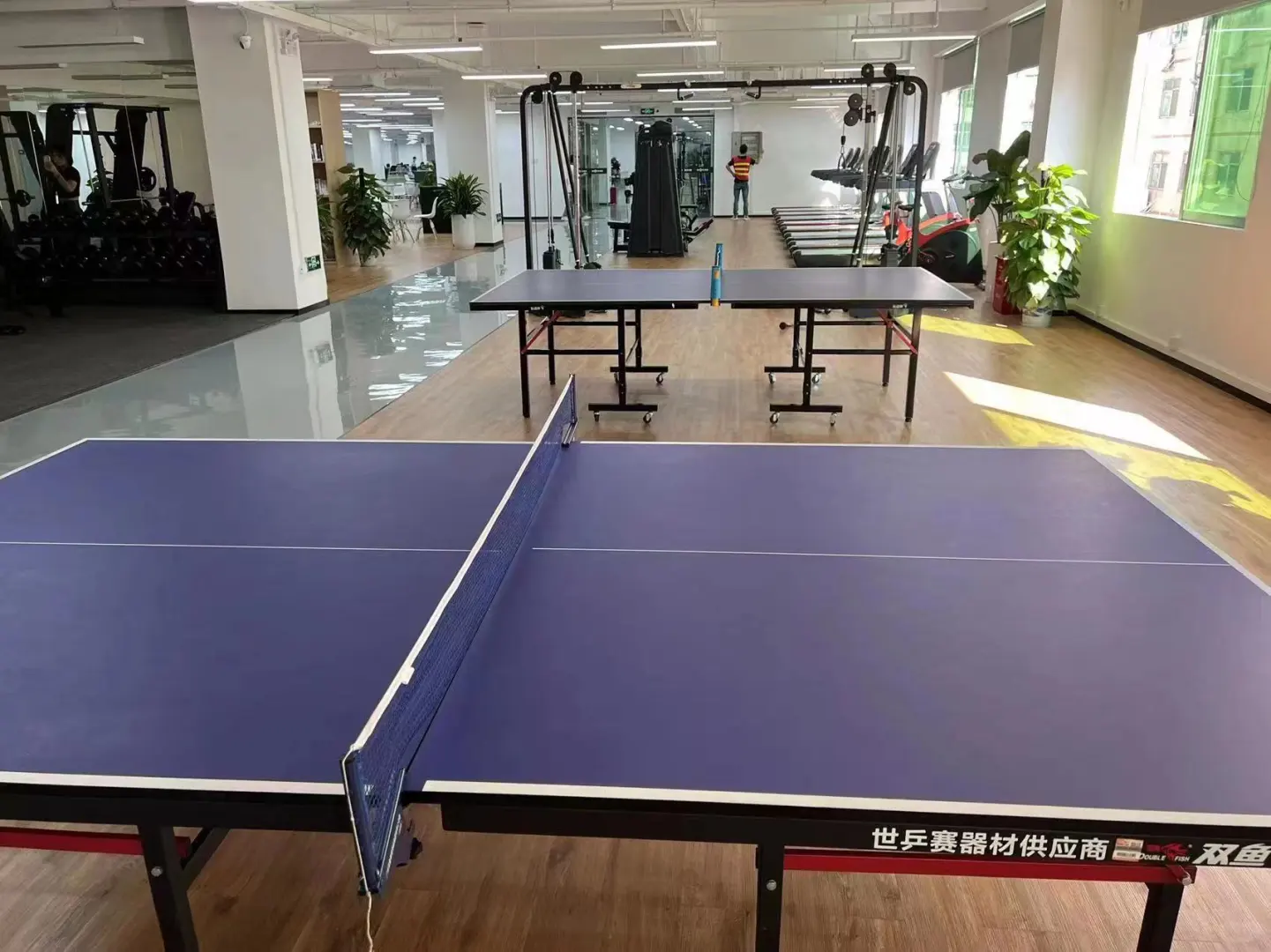 工厂直招长白班