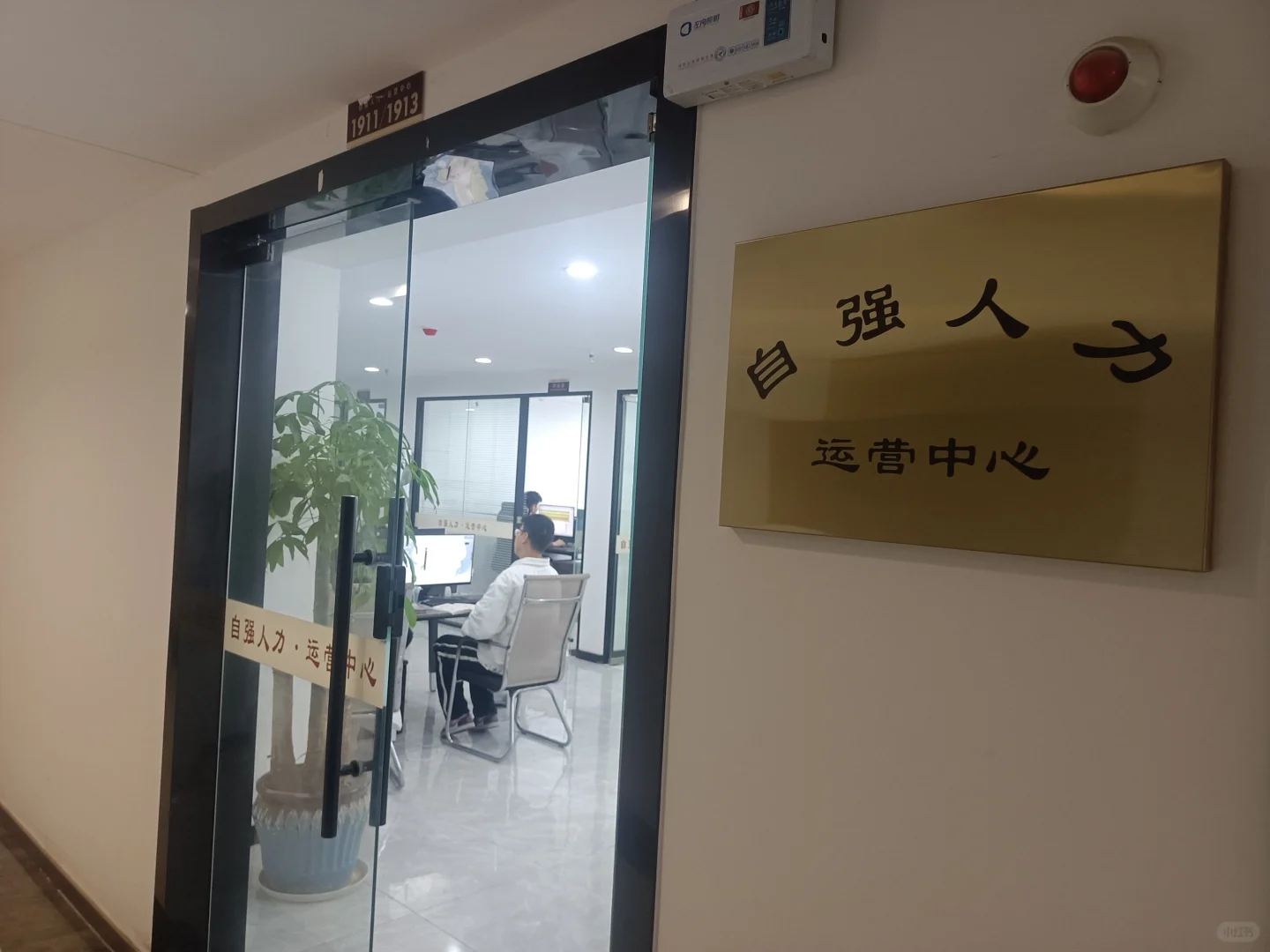 公司扩展，有需要工作的宝子们来瞅瞅了