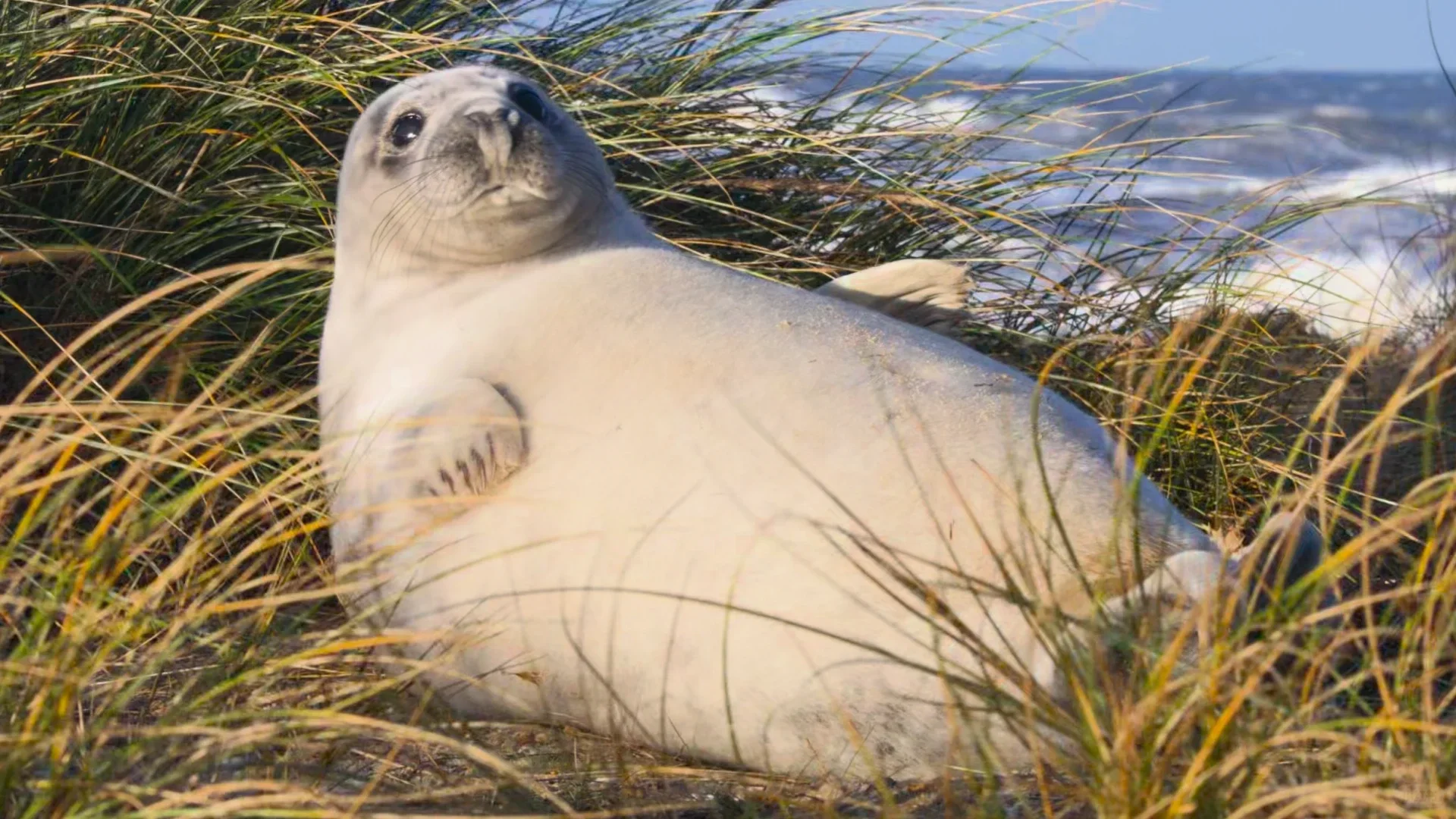 郑州可以养老的厂区招聘