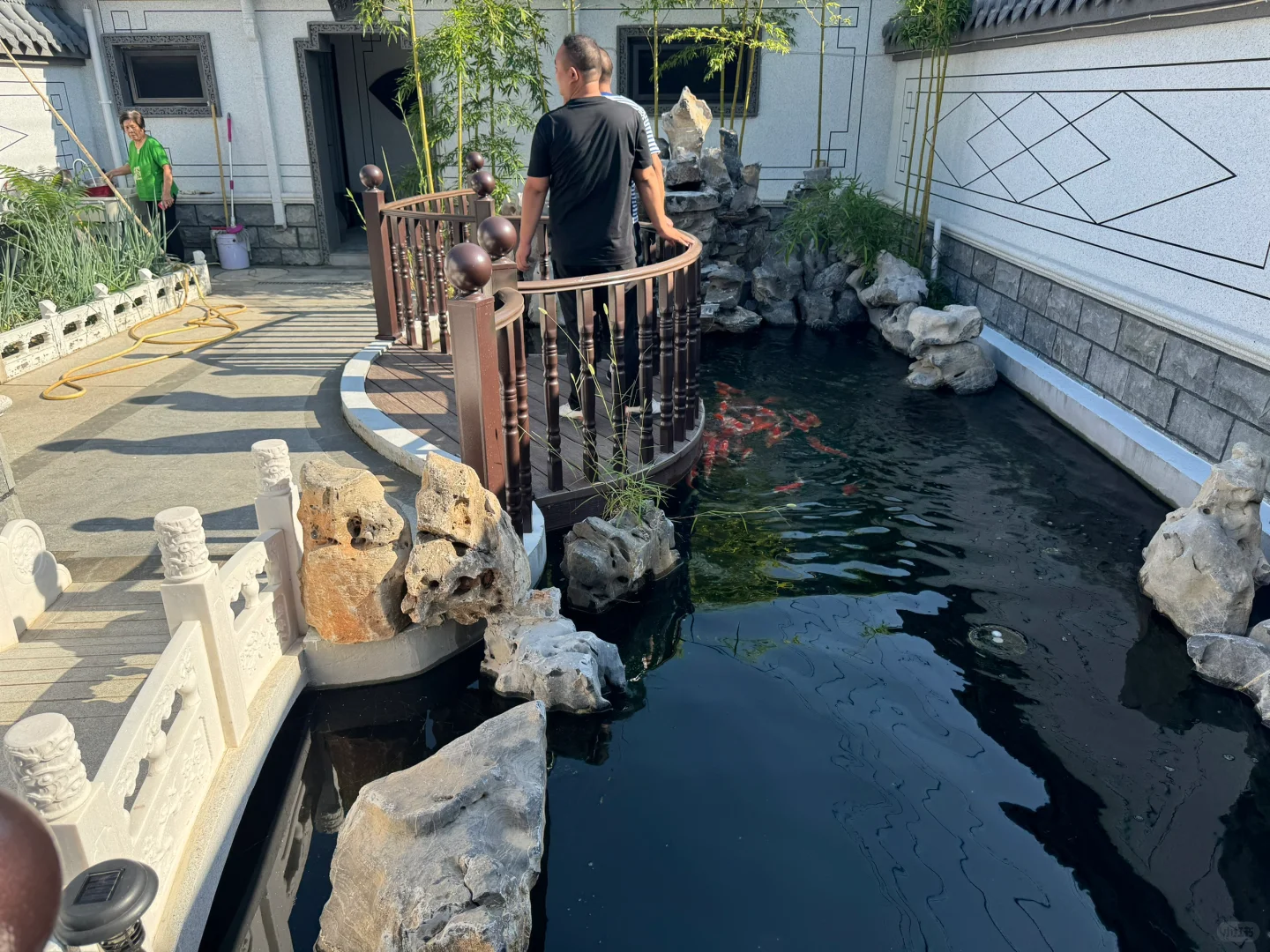 石家庄初创公司 大量招人