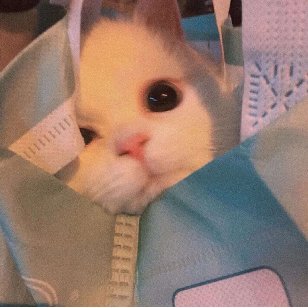 湛江华为授权招人了！不卡学历可小白望周知