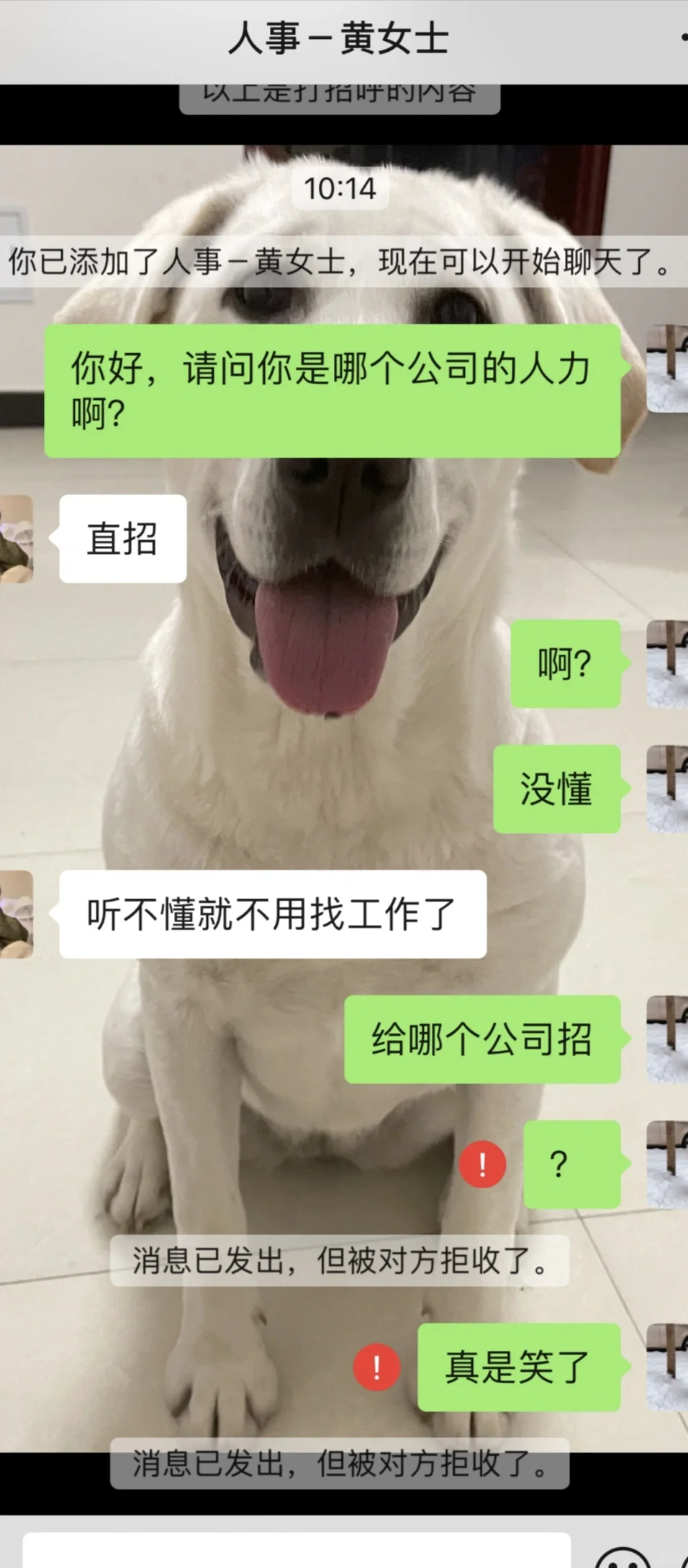 这家公司名字叫“直招”？