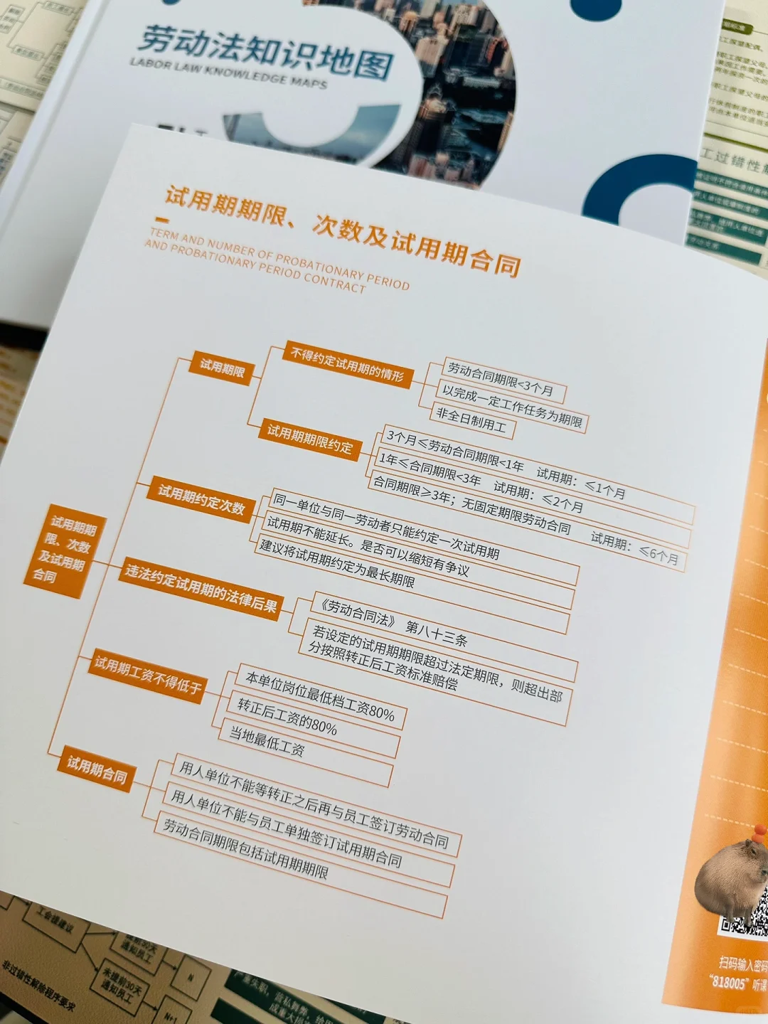 不懂这些劳动法，做HR简直就是灾难😭