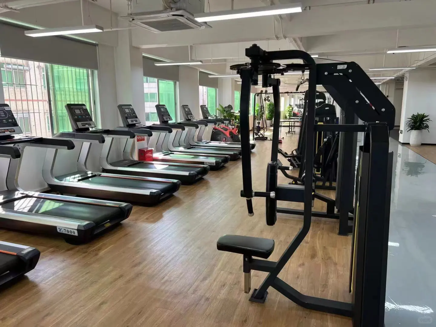 工厂直招长白班