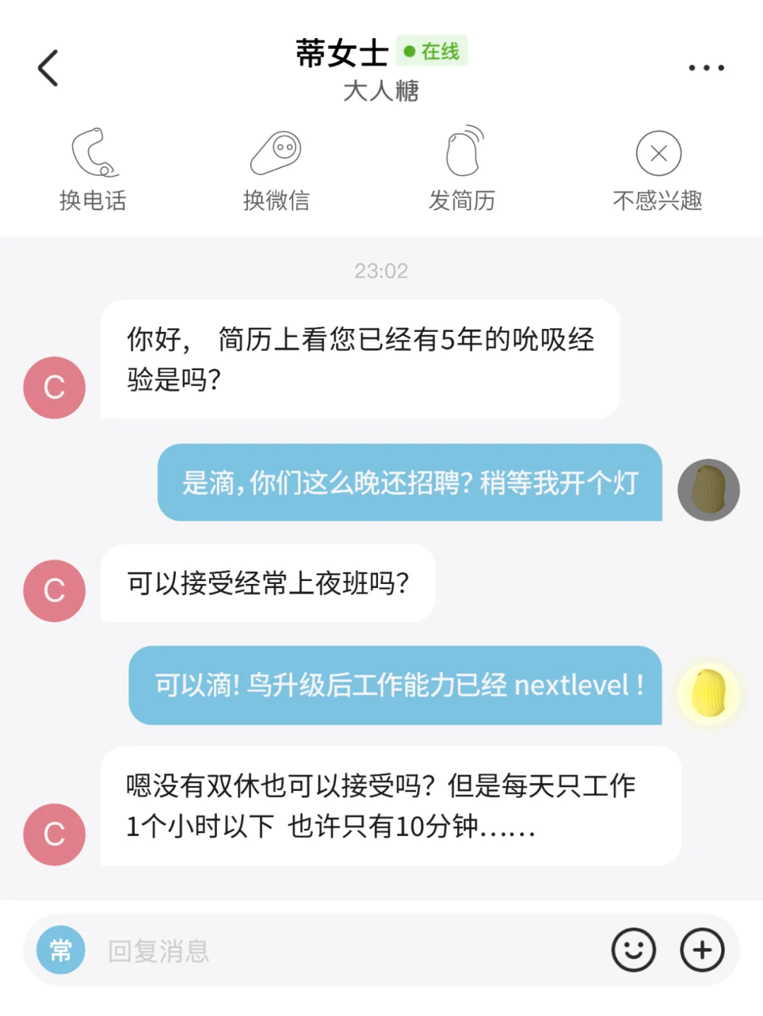 Puss直聘！当小玩具开始去面试……