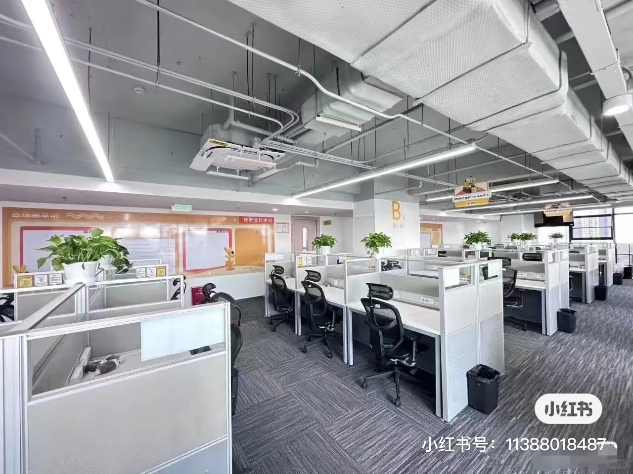 上市公司（遂平县）招聘