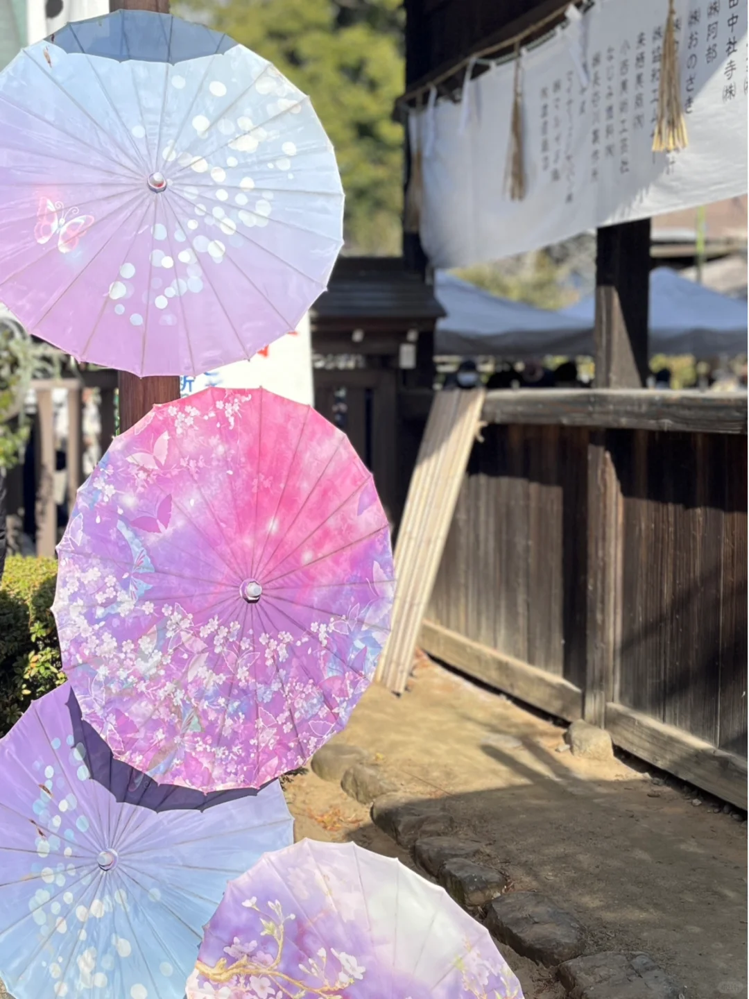 如何在国内成功找到日本工作？超全攻略